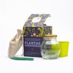 Planta Carnivora Drossera