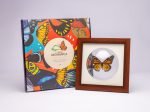 Cuadro de Mariposa Monarca (Danaus Plexippus) - Imagen 4